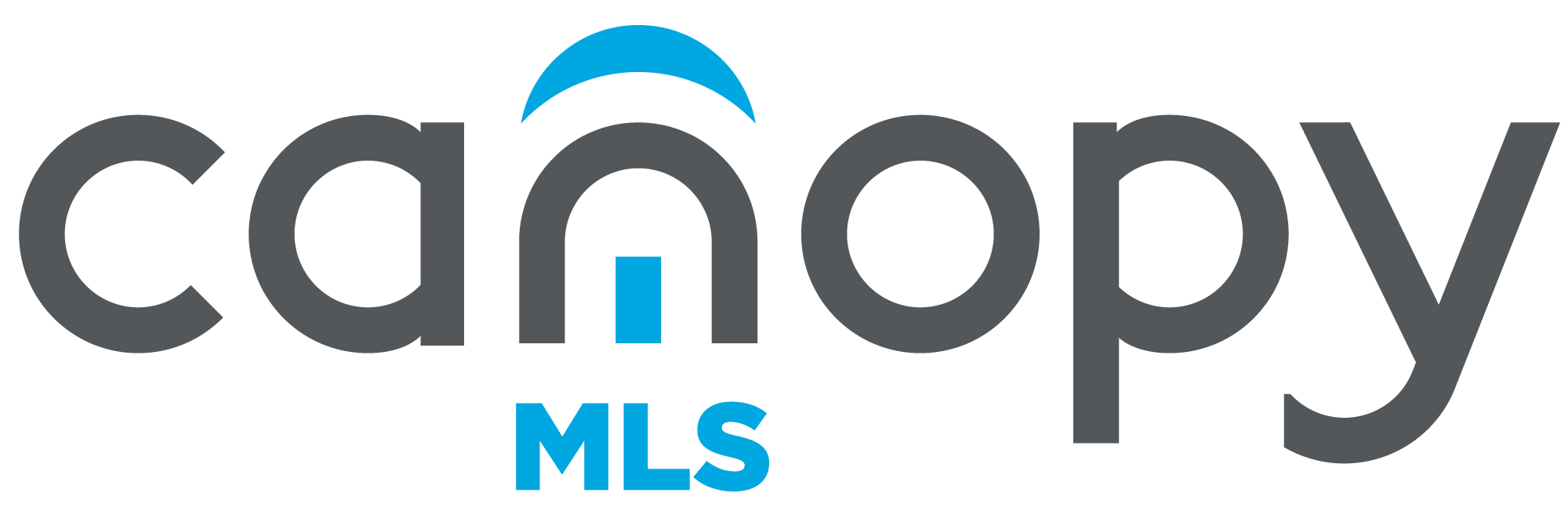 Canopy MLS logo with gray letters and blue accents